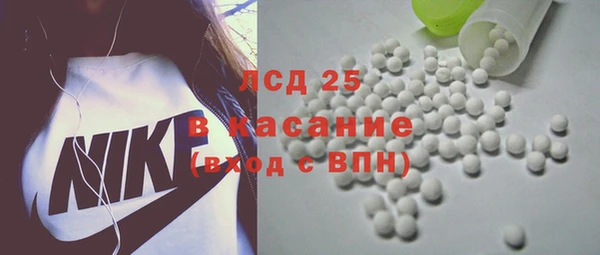 ПСИЛОЦИБИНОВЫЕ ГРИБЫ Арсеньев