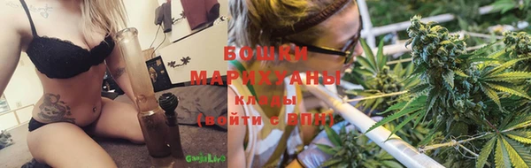 ПСИЛОЦИБИНОВЫЕ ГРИБЫ Арсеньев